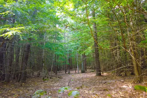 Tbd Roberts Pond Road Lyman ME 04002