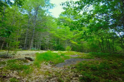 Tbd Roberts Pond Road Lyman ME 04002