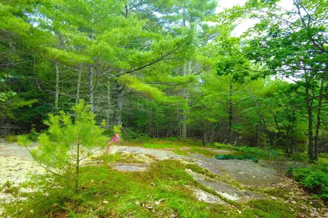 Tbd Roberts Pond Road Lyman ME 04002