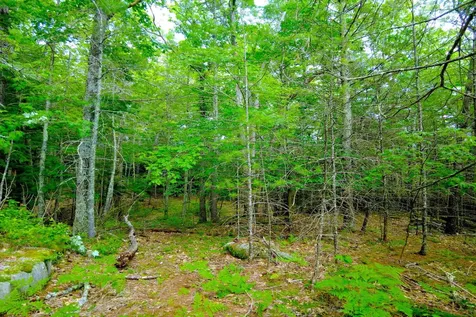 Tbd Roberts Pond Road Lyman ME 04002