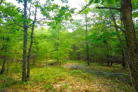Tbd Roberts Pond Road Lyman ME 04002