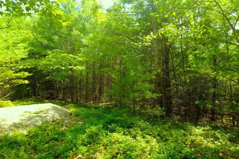 Tbd Roberts Pond Road Lyman ME 04002