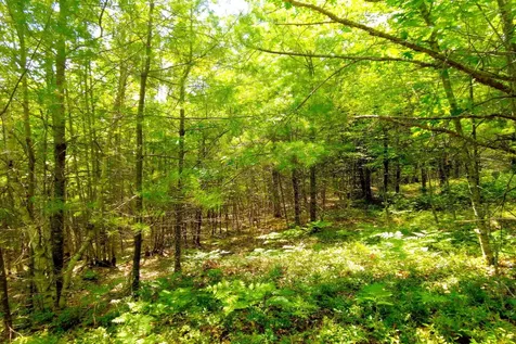 Tbd Roberts Pond Road Lyman ME 04002