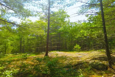 Tbd Roberts Pond Road Lyman ME 04002
