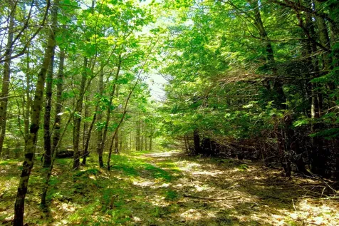 Tbd Roberts Pond Road Lyman ME 04002