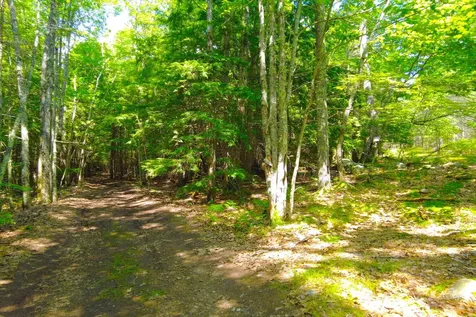 Tbd Roberts Pond Road Lyman ME 04002