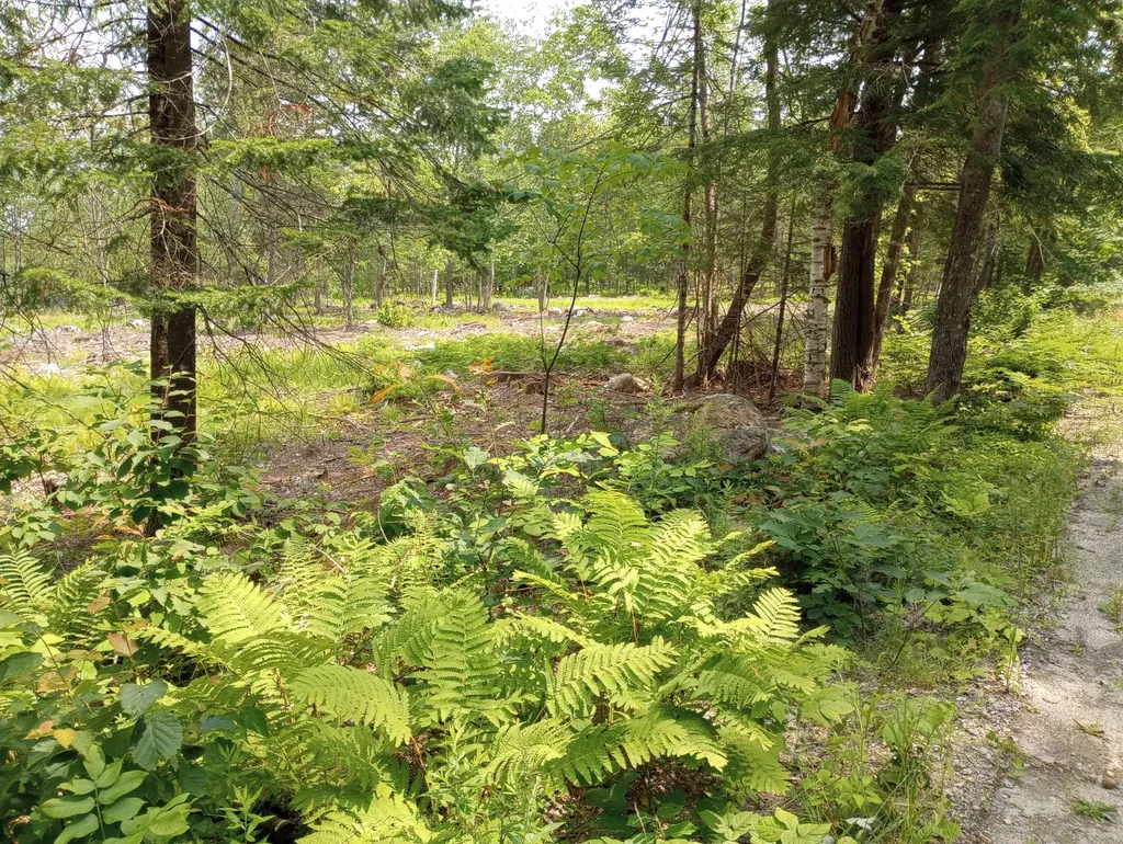 Lot #6 Milbrook Road Bridgton ME 04009