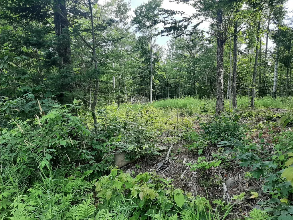 Lot 3 Ohio Street Glenburn ME 04401