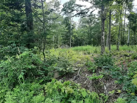 Lot 3 Ohio Street Glenburn ME 04401