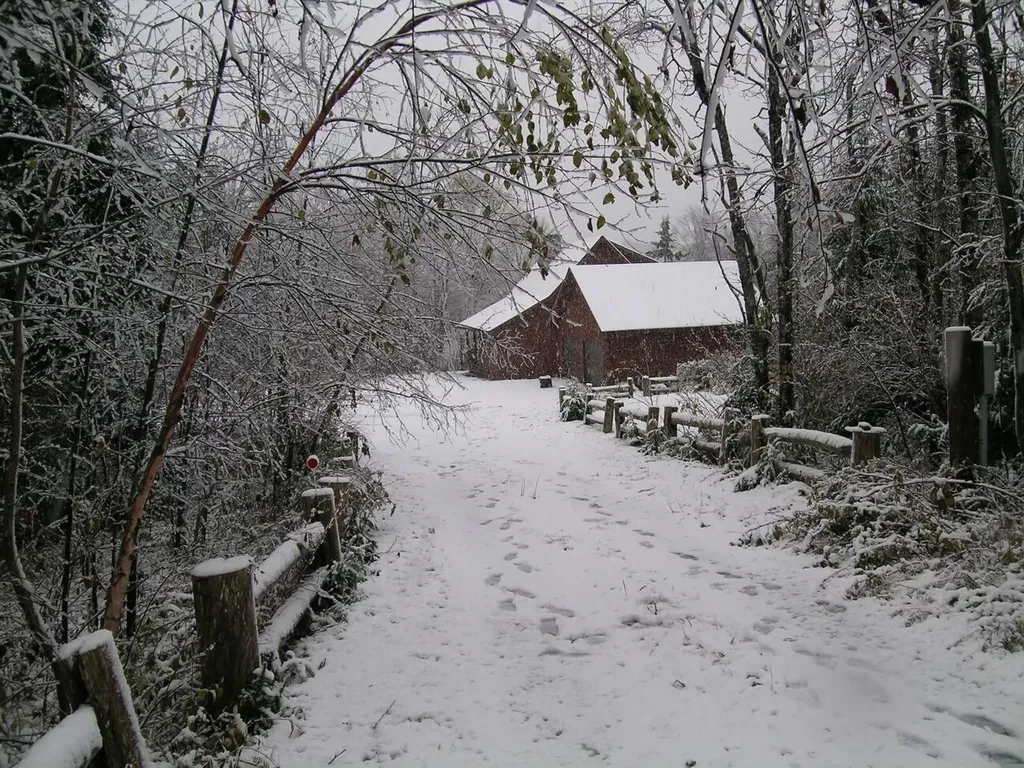 622 Dixie Road Trescott Twp ME 04652
