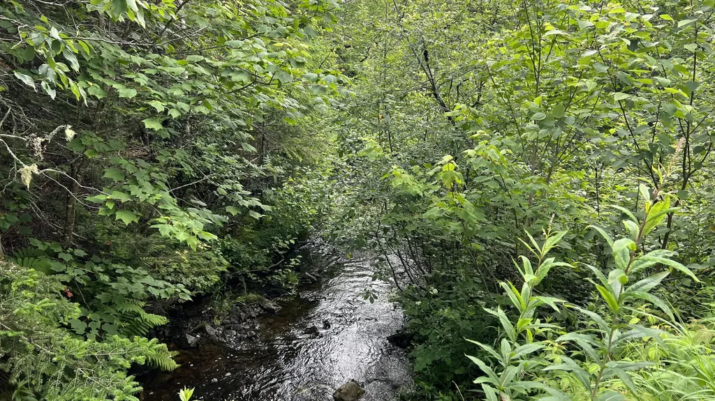 622 Dixie Road Trescott Twp ME 04652