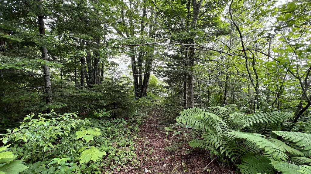 622 Dixie Road Trescott Twp ME 04652