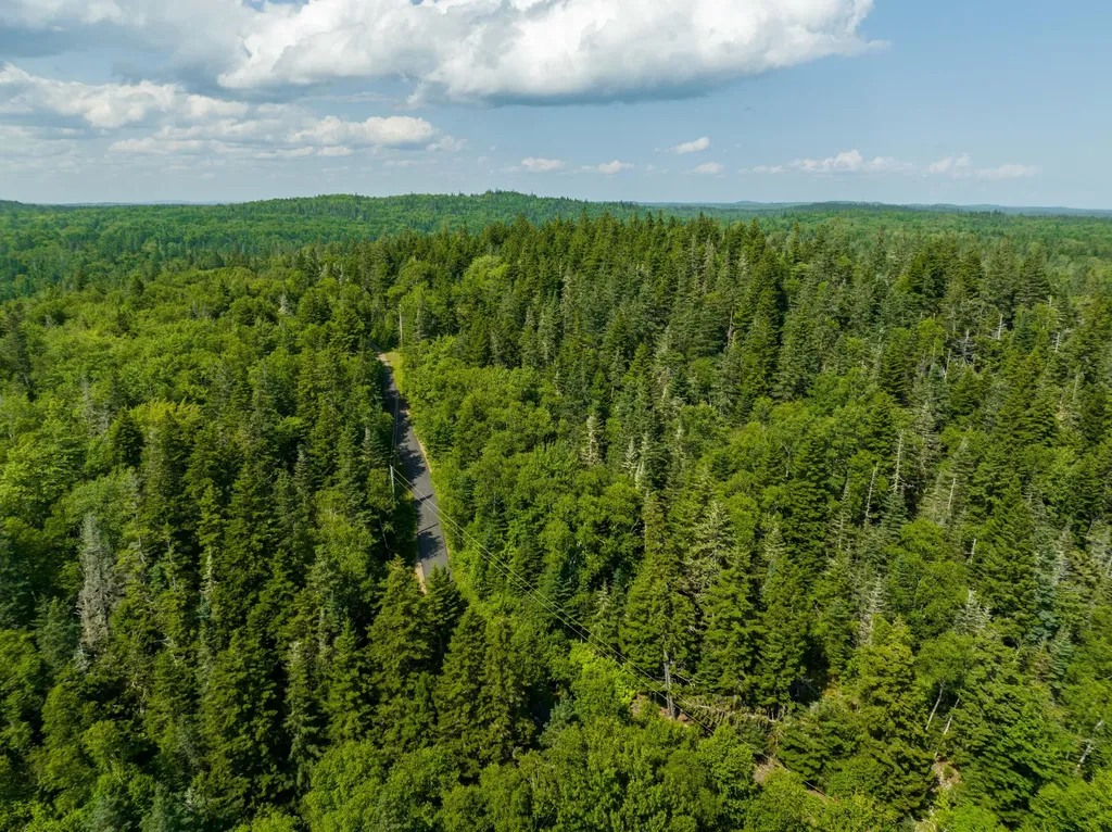 622 Dixie Road Trescott Twp ME 04652