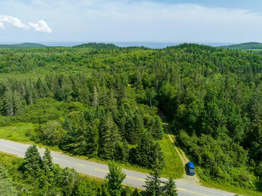 622 Dixie Road Trescott Twp ME 04652
