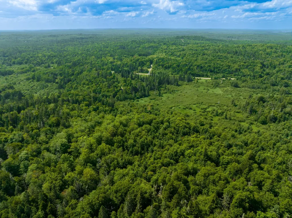 622 Dixie Road Trescott Twp ME 04652