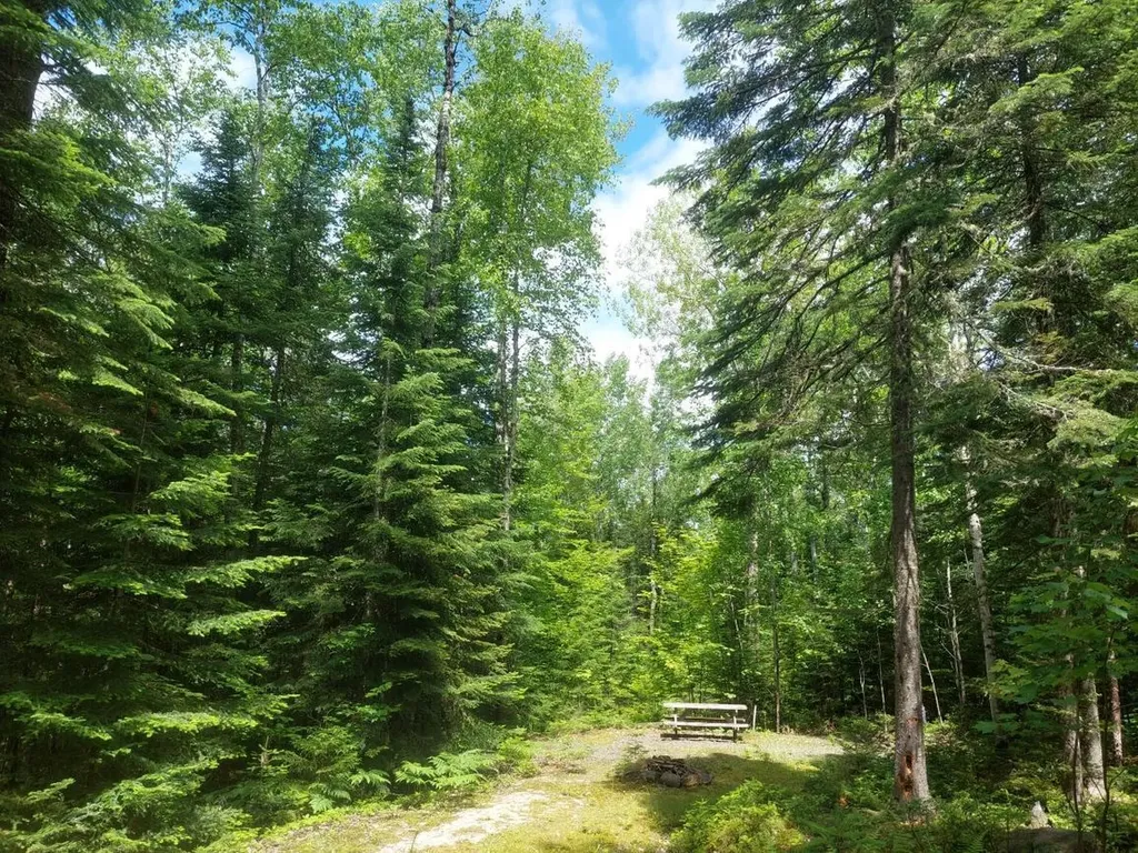 Lot 34 Stephens Road/moose Road Rangeley Plt ME 04970