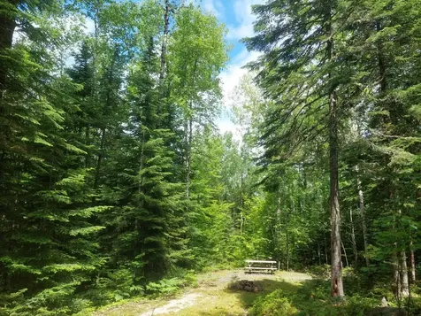 Lot 34 Stephens Road/moose Road Rangeley Plt ME 04970