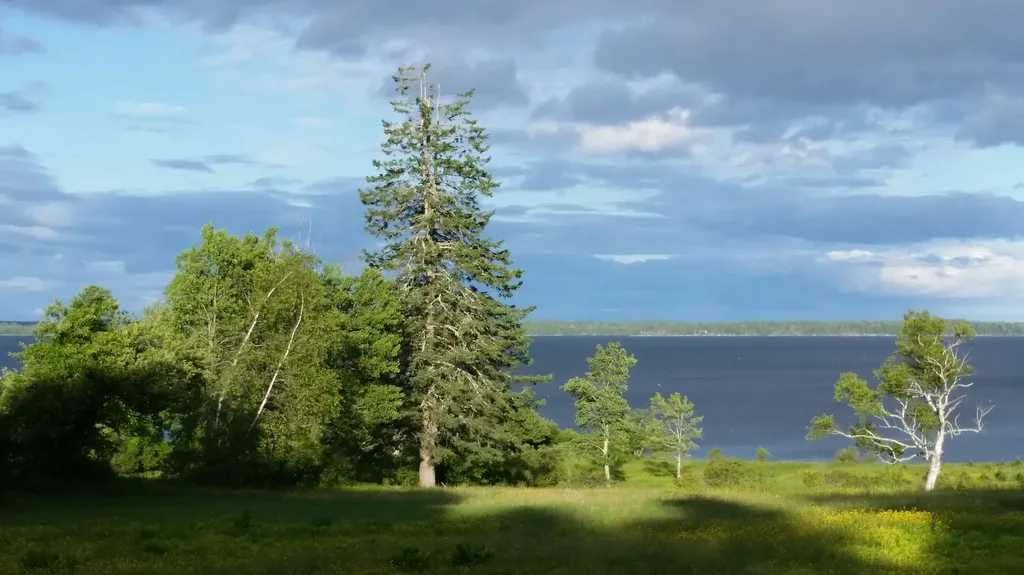 2597 Atlantic Highway Lincolnville ME 04849
