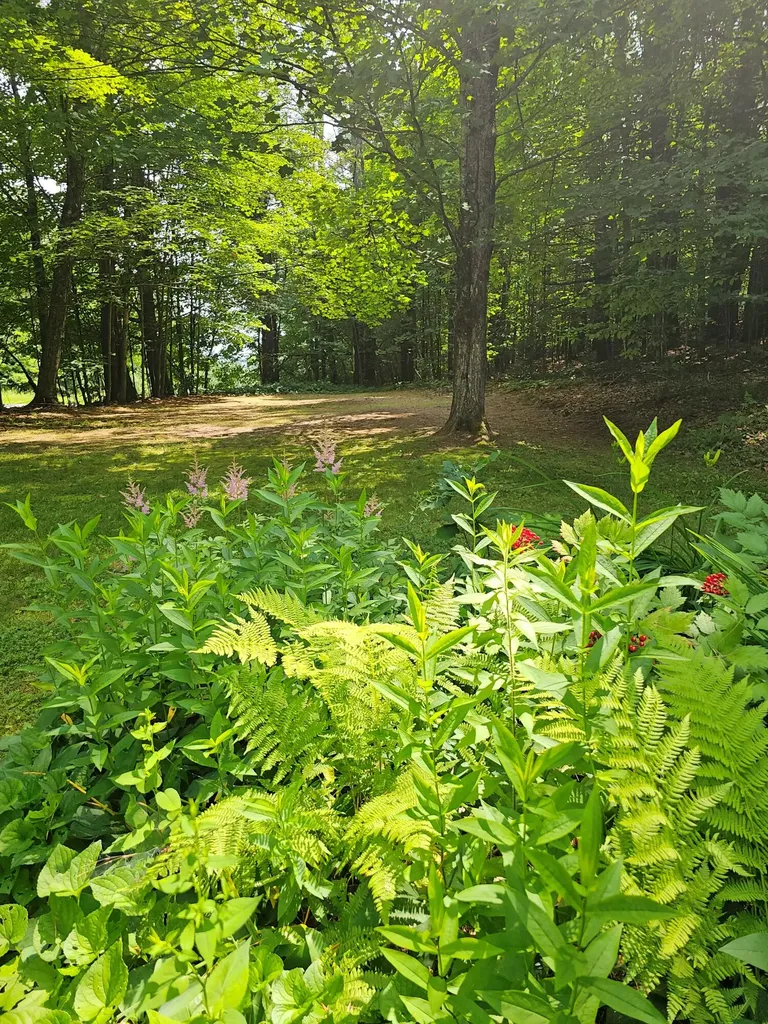 733 Waterville Road Skowhegan ME 04976