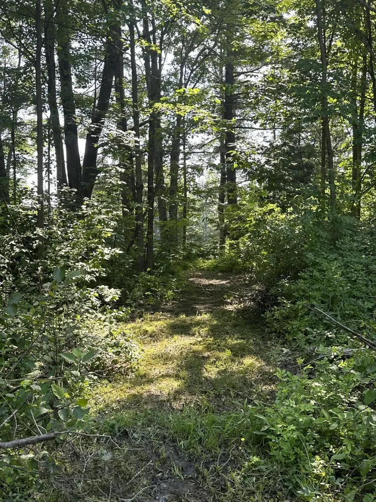64 Towle Avenue Auburn ME 04210