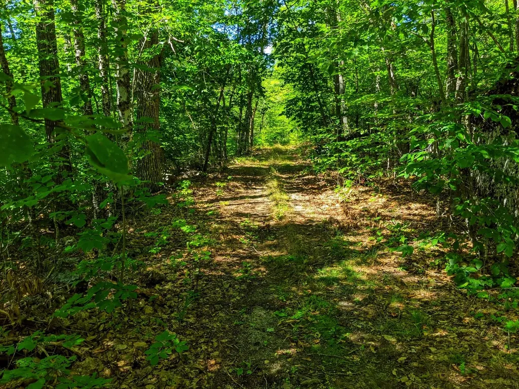 79 Sunset Road Dedham ME 04429