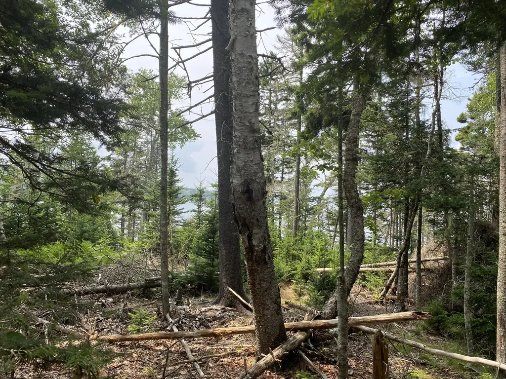 1552 Turtle Head Road Islesboro ME 04848