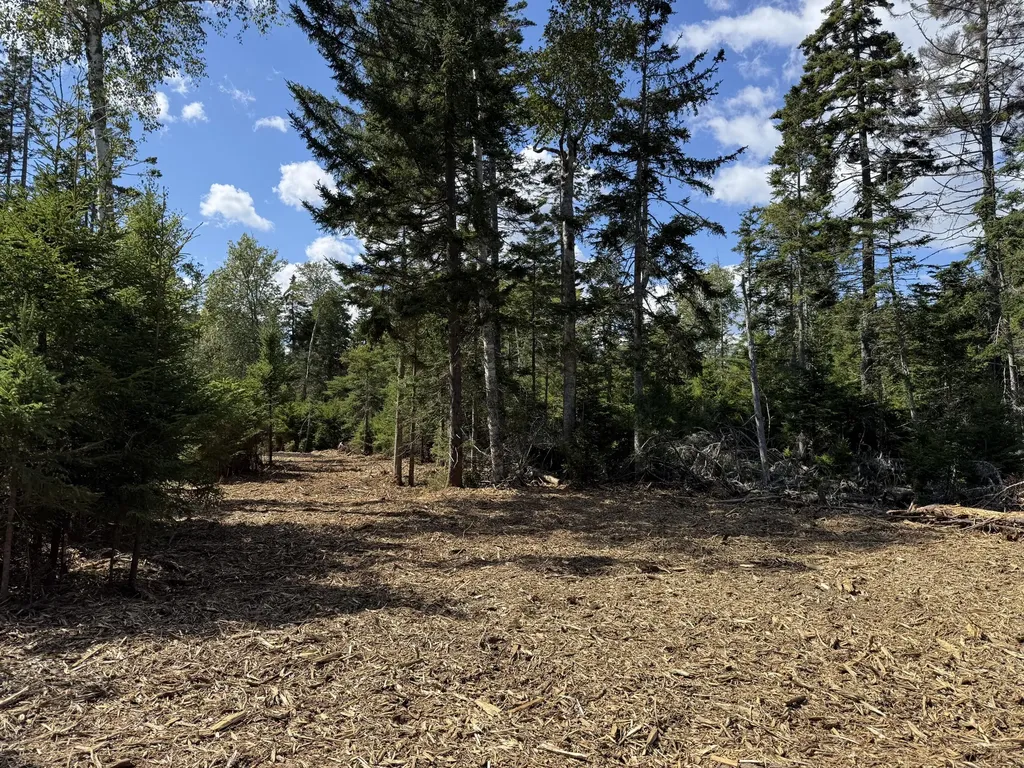 1552 Turtle Head Road Islesboro ME 04848