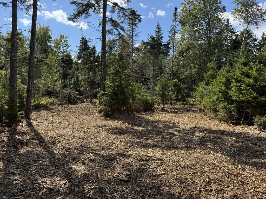 1552 Turtle Head Road Islesboro ME 04848