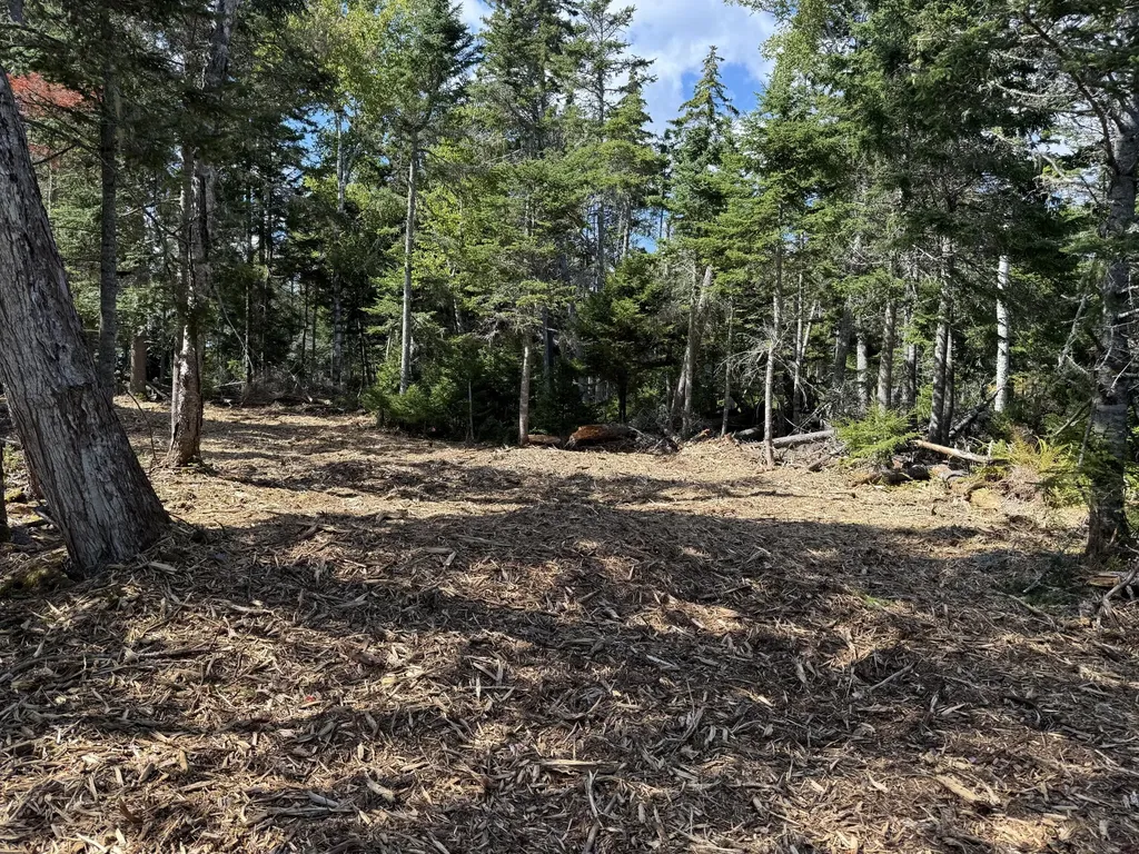 1552 Turtle Head Road Islesboro ME 04848