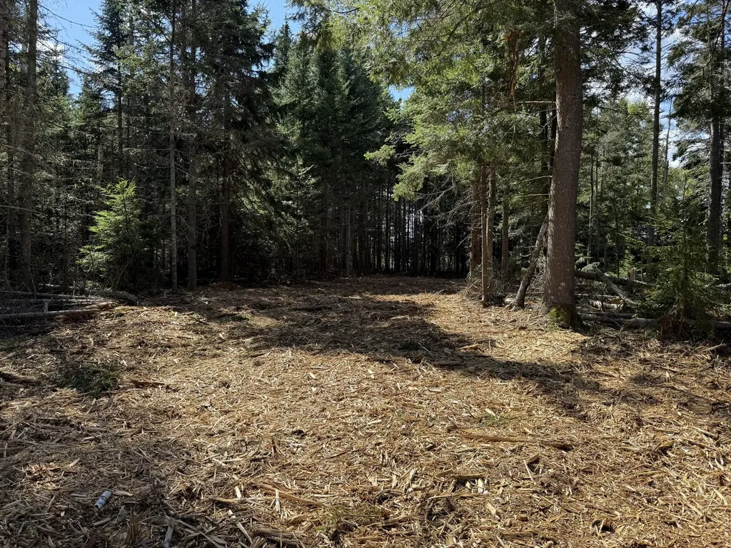 1552 Turtle Head Road Islesboro ME 04848
