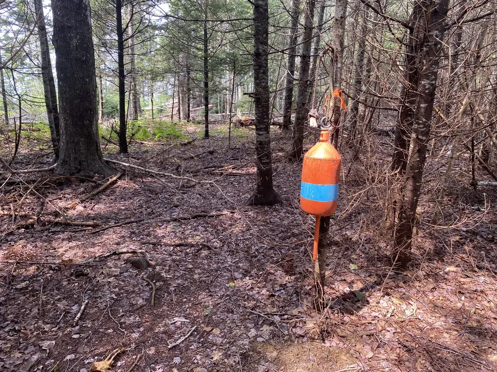 1552 Turtle Head Road Islesboro ME 04848