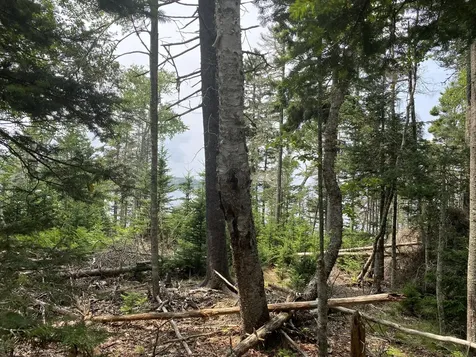 1552 Turtle Head Road Islesboro ME 04848