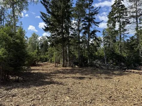 1552 Turtle Head Road Islesboro ME 04848