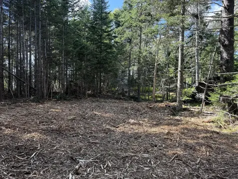 1552 Turtle Head Road Islesboro ME 04848