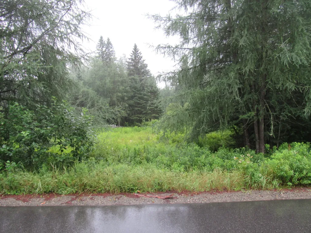 P/o 19 Pleasant Street Moose River ME 04945