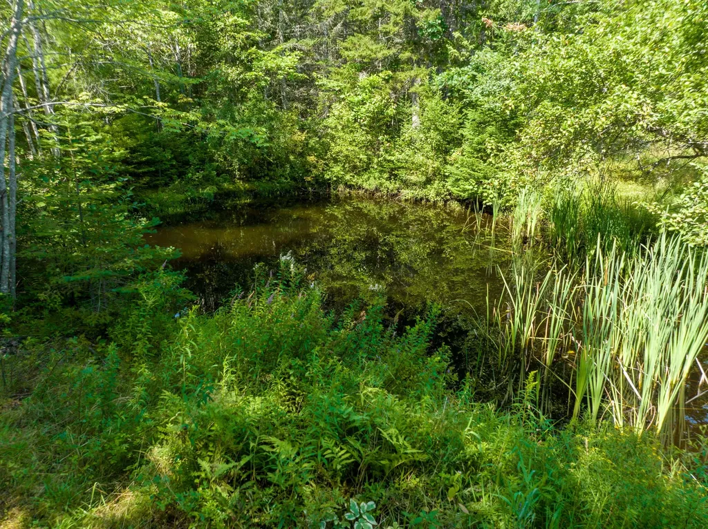 24 Mesa Farm Lane Blue Hill ME 04614