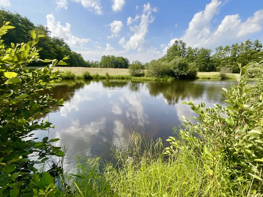 399 East River Road Whitefield ME 04353