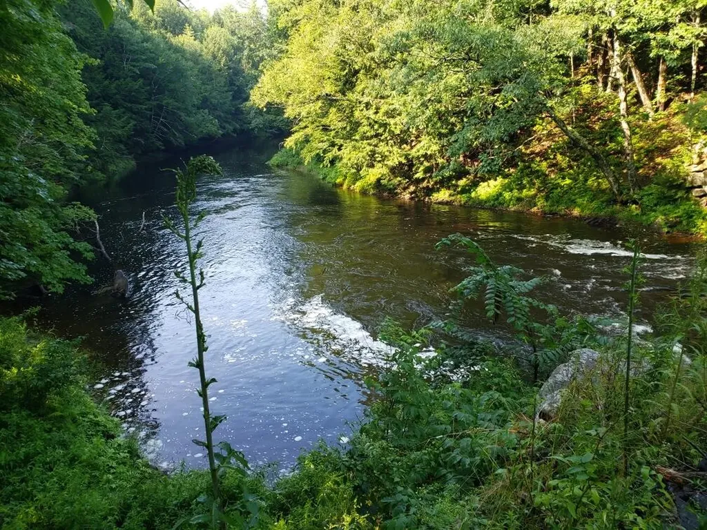 399 East River Road Whitefield ME 04353