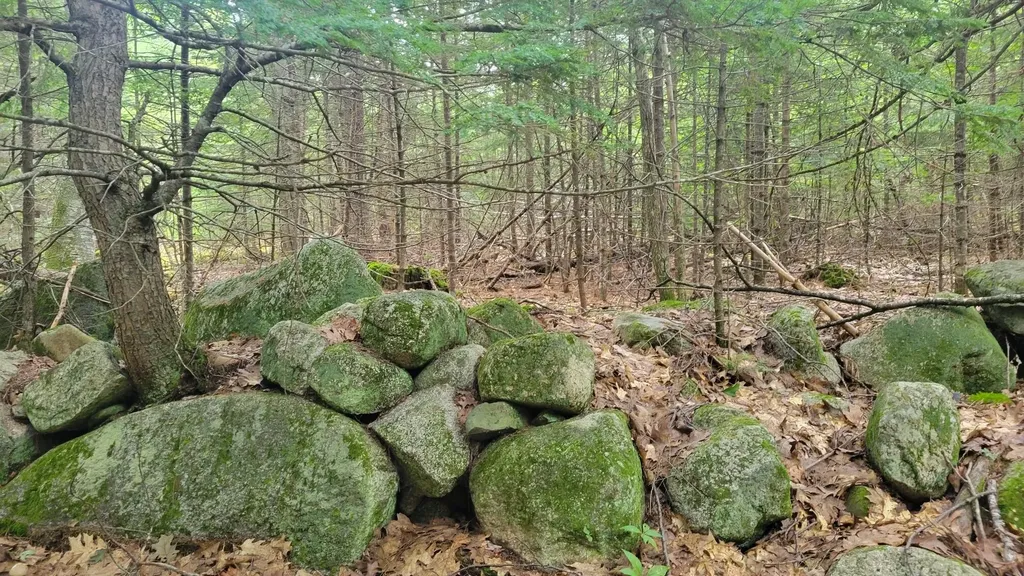 Lot 5 Merrill Drive Harrison ME 04040