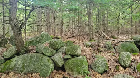 Lot 5 Merrill Drive Harrison ME 04040