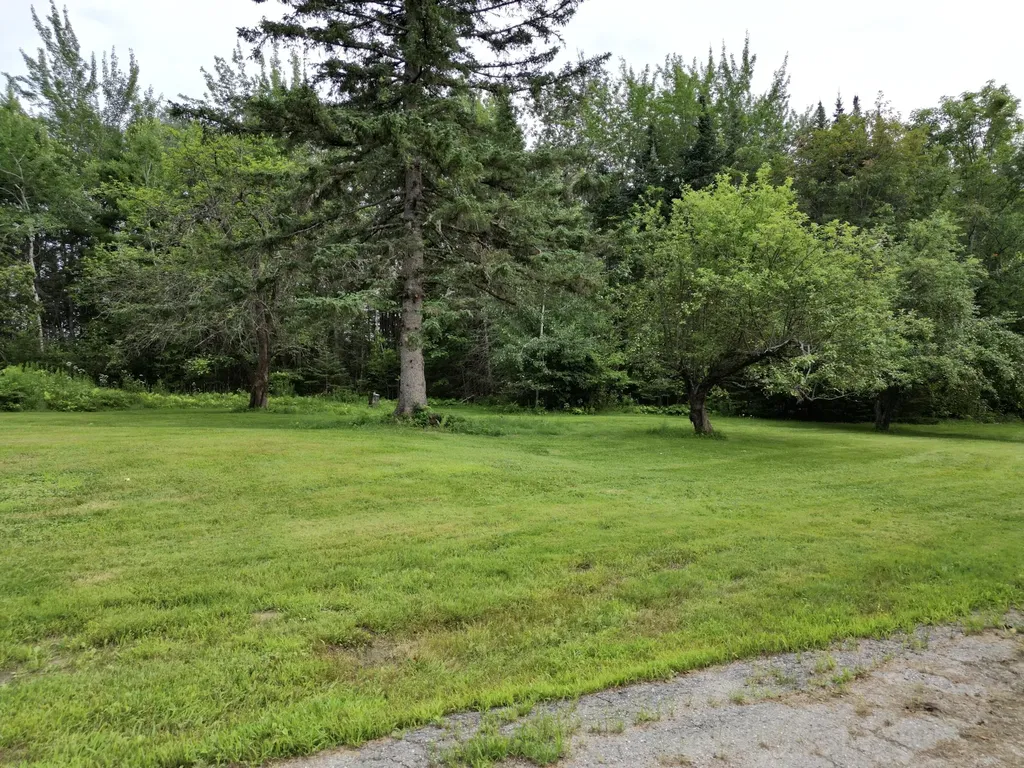 253 Clewleyville Road Eddington ME 04428