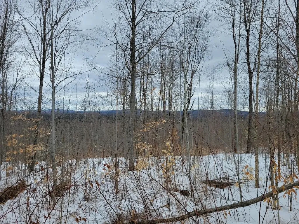 Lot 25 Ames Road Cornville ME 04976