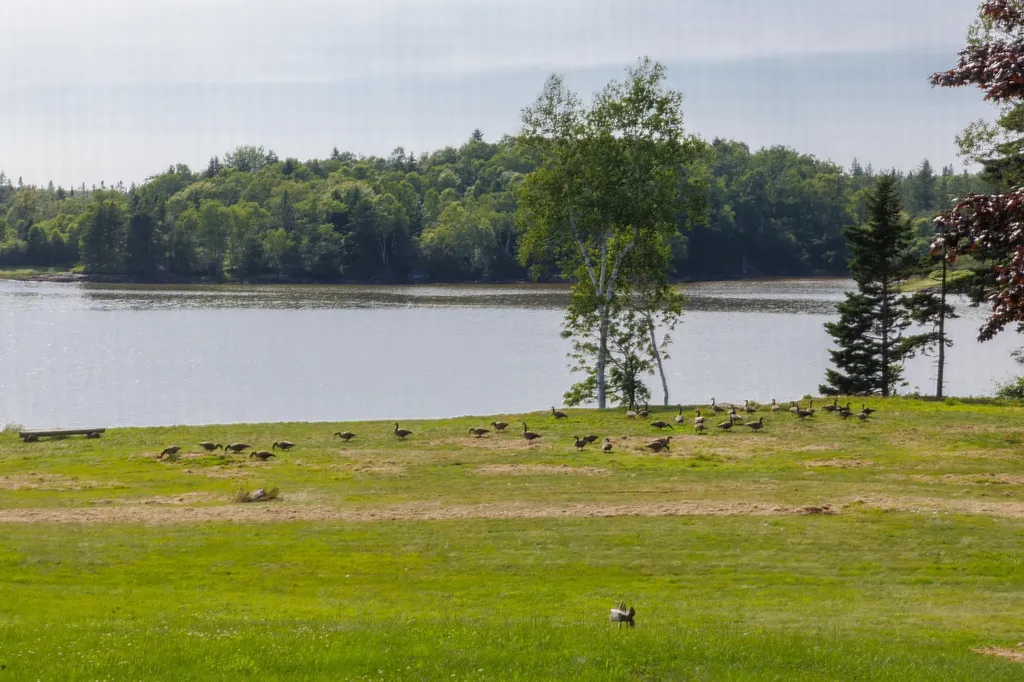 1491 Indian River Road Jonesport ME 04649