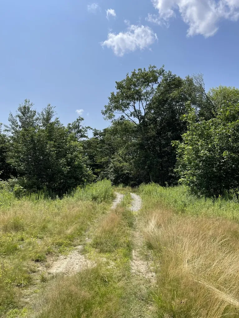 87 Main Street Cherryfield ME 04622