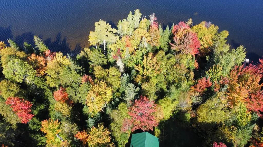 495 Shelton Trail Rangeley Plt ME 04970