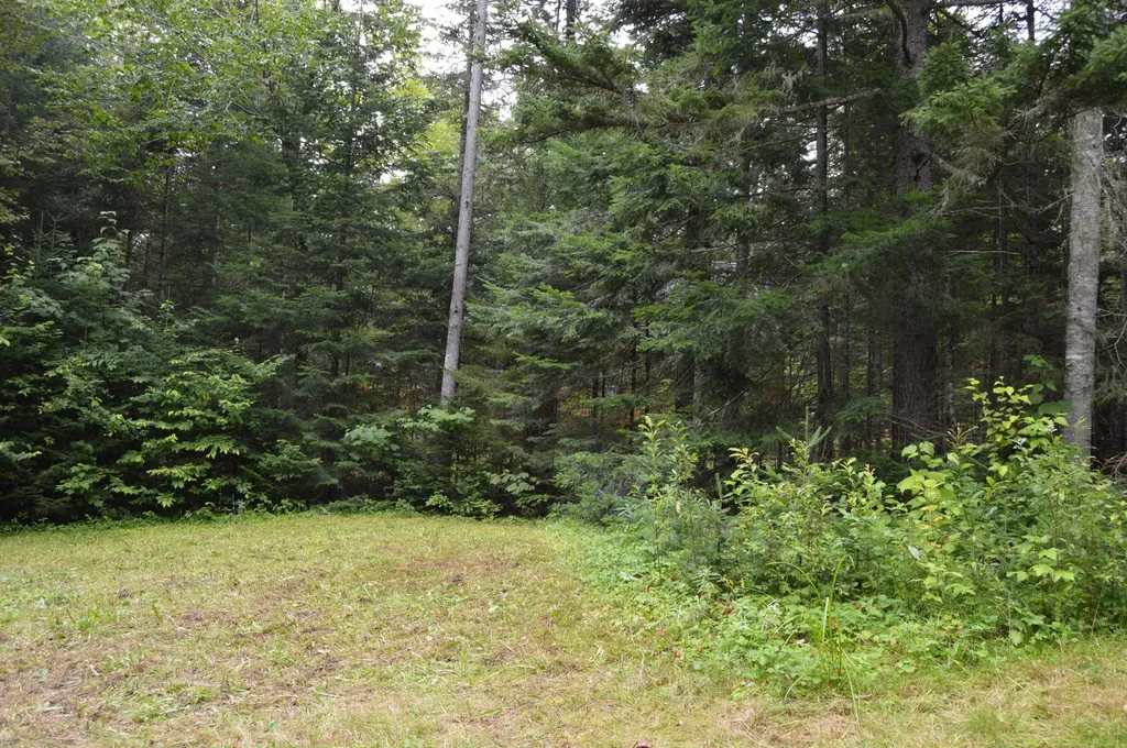 495 Shelton Trail Rangeley Plt ME 04970