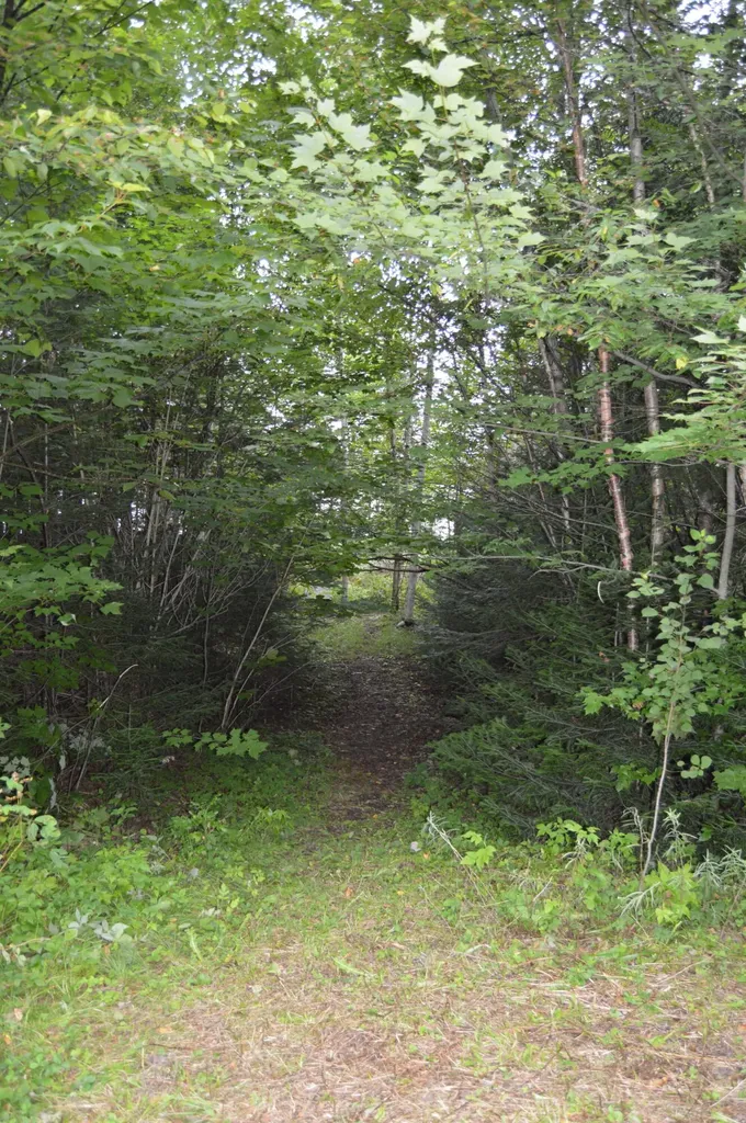 495 Shelton Trail Rangeley Plt ME 04970