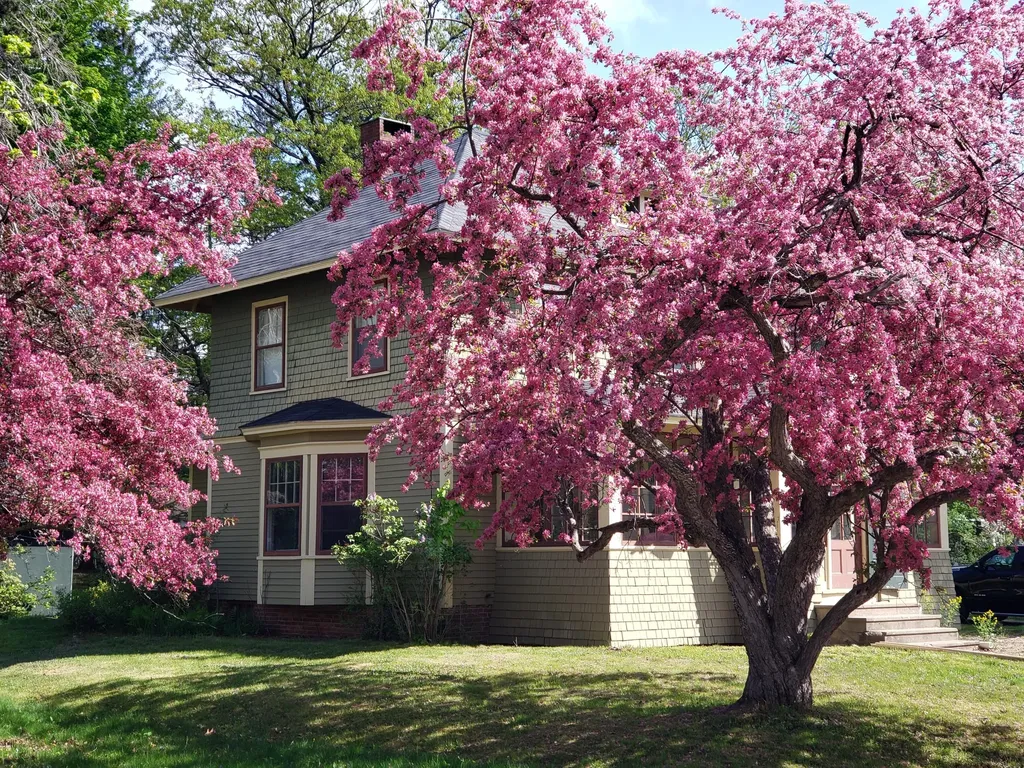 118 Stewart Avenue Farmington ME 04938