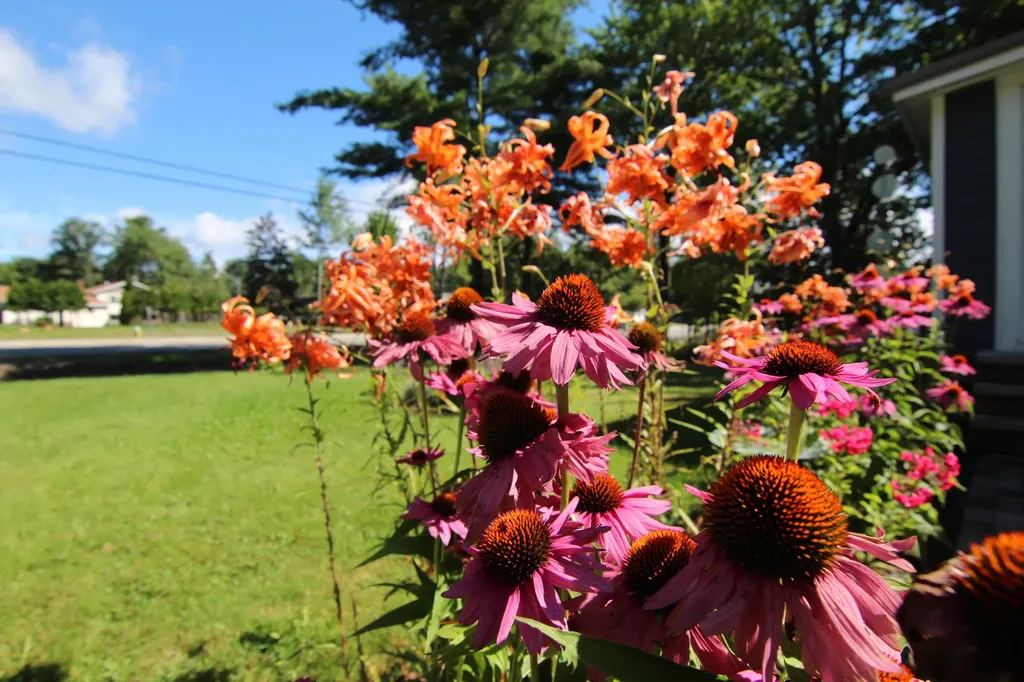 57 County Road Milford ME 04461