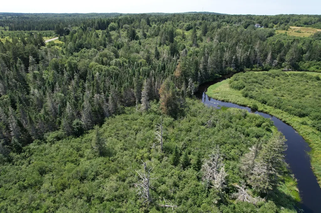Lot 9 Wilcox Road Trescott Twp ME 04652